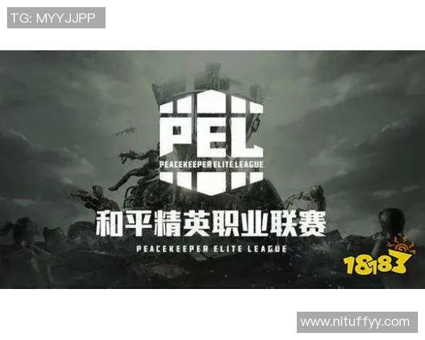 和平精英战术解析：RNG区域防守体系的优势与实施策略探讨